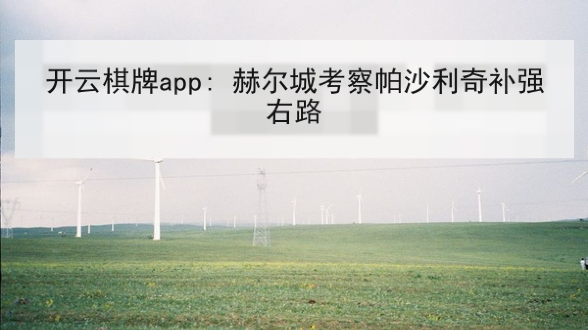 开云棋牌app: 赫尔城考察帕沙利奇补强右路
