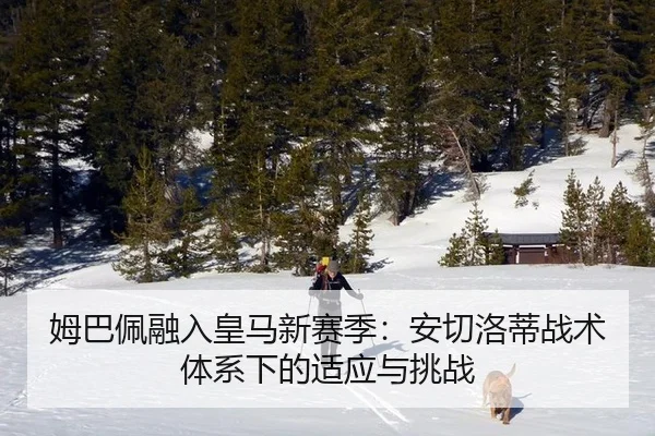姆巴佩融入皇马新赛季：安切洛蒂战术体系下的适应与挑战