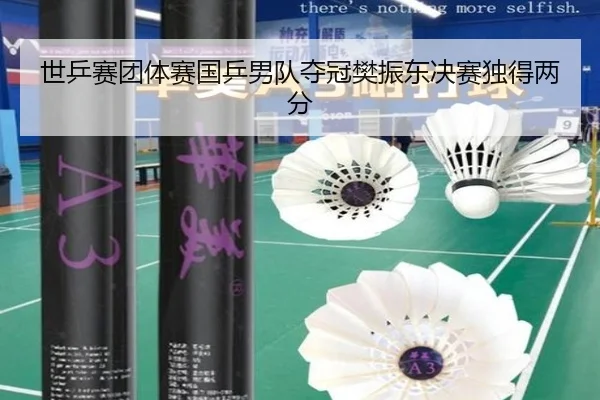 shi-ping-sai-tuan-ti-sai-guo-ping-nan-dui-duo-guan-fan-zhen-dong-jue-sai-du-de-liang-fen-3-120.jpg