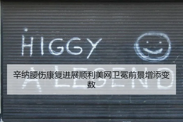 辛纳腰伤康复进展顺利美网卫冕前景增添变数