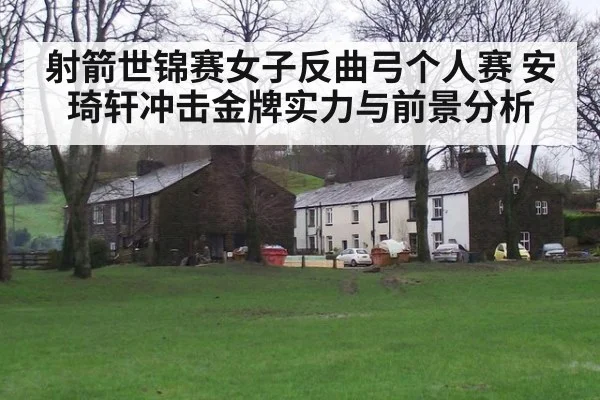 射箭世锦赛女子反曲弓个人赛 安琦轩冲击金牌实力与前景分析