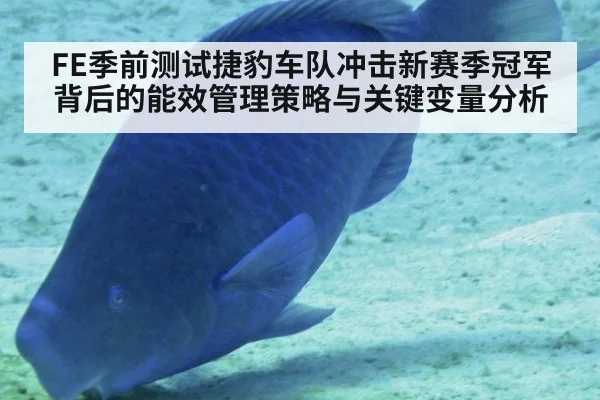 FE季前测试捷豹车队冲击新赛季冠军背后的能效管理策略与关键变量分析